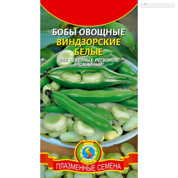 Бобы Виндзорские белые овощные 5 шт, Плазменные семена