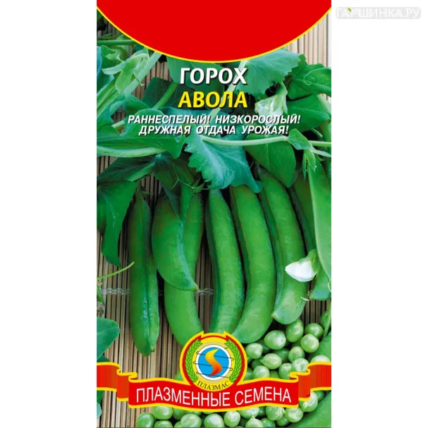 Горох Авола 8 г, Плазменные семена