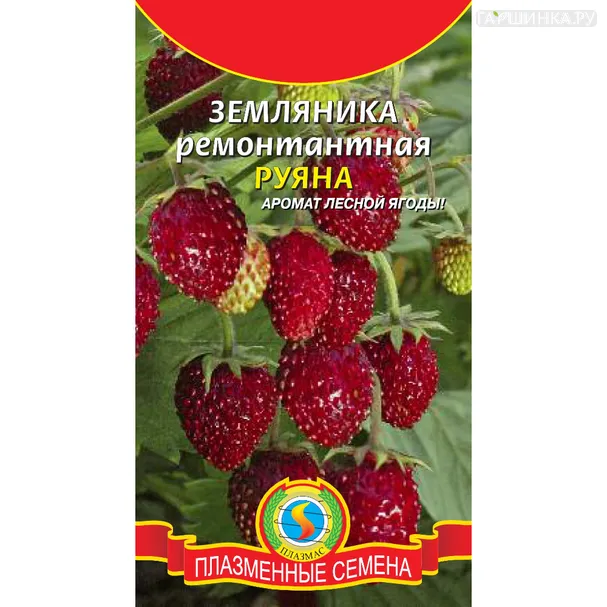 Земляника Руяна ремонтантная 0,04 г, Плазменные семена