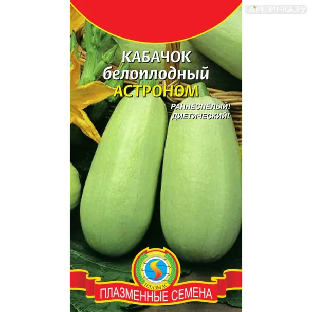 Кабачок Астроном белоплодный 10шт, Плазменные семена