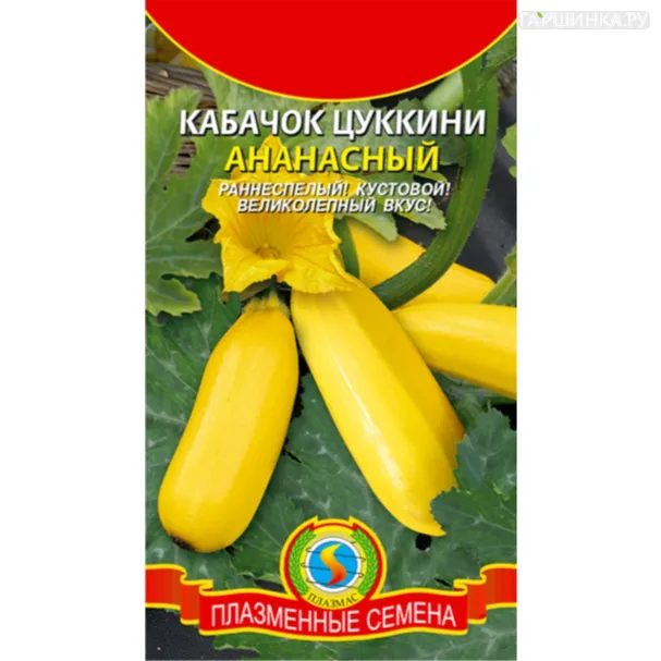 Кабачок (Цуккини) Ананасный 12 шт, Плазменные семена