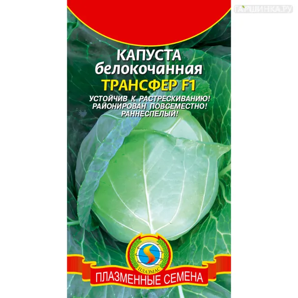 Капуста Трансфер белокочанная 0,1 г, Плазменные семена
