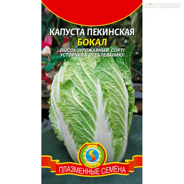 Пекинская капуста Бокал 0,5 г, Плазменные семена