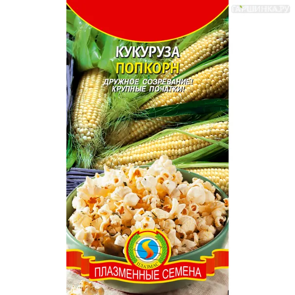 Кукуруза Попкорн 4,5 г, Плазменные семена