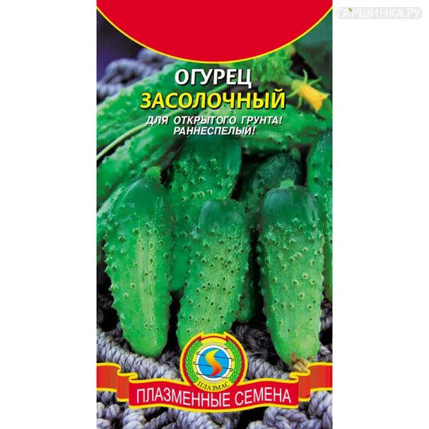 Огурец Засолочный 12 шт, Плазменные семена