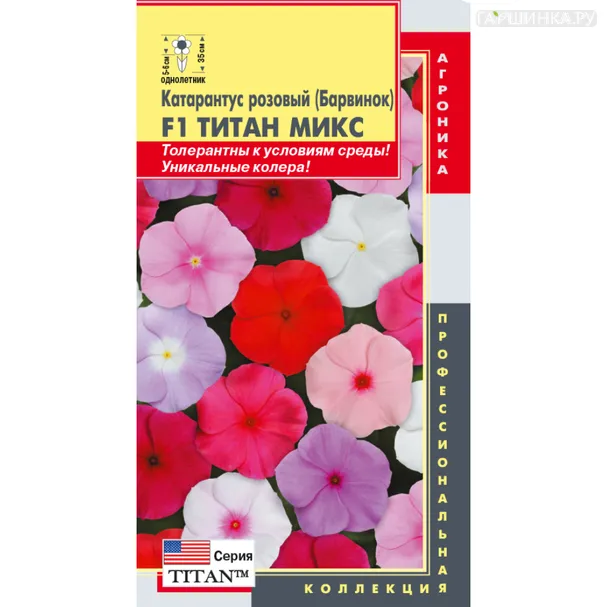 Катарантус розовый (Барвинок) Титан Микс F1 4 шт, Плазменные семена