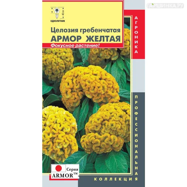 Целозия Амур Желтая гребенчатая 10 шт, Плазменные семена