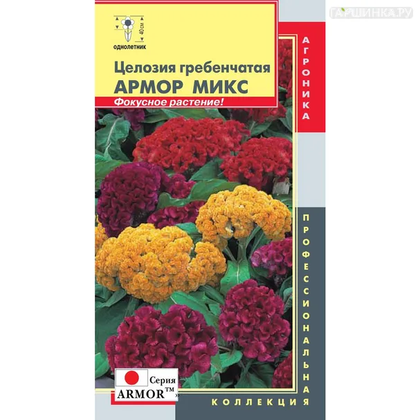 Целозия Микс гребенчатая (серия Armor) 10 шт, Плазменные семена