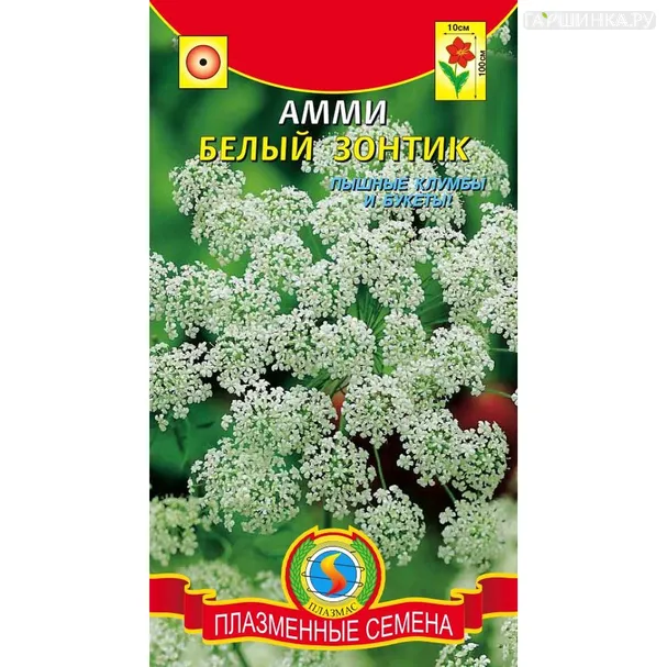 Амми Белый Зонтик 0,3 г, Плазменные семена