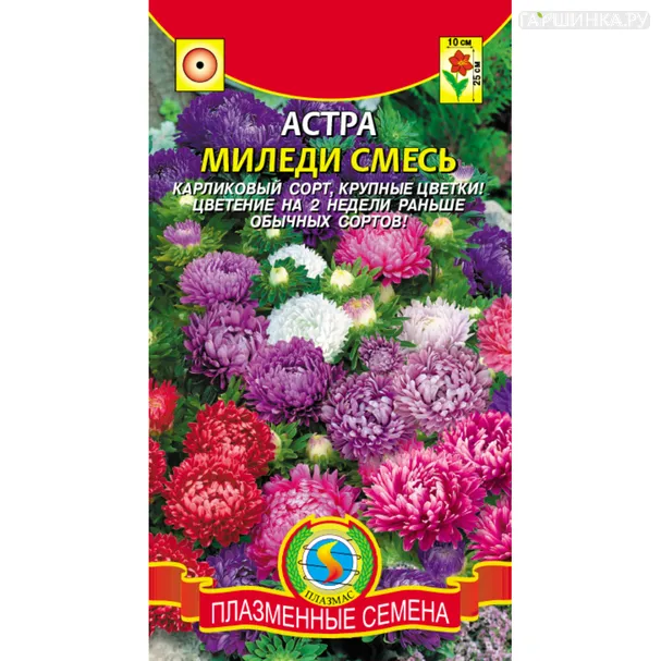 Астра Миледи смесь 0,2 г, Плазменные семена