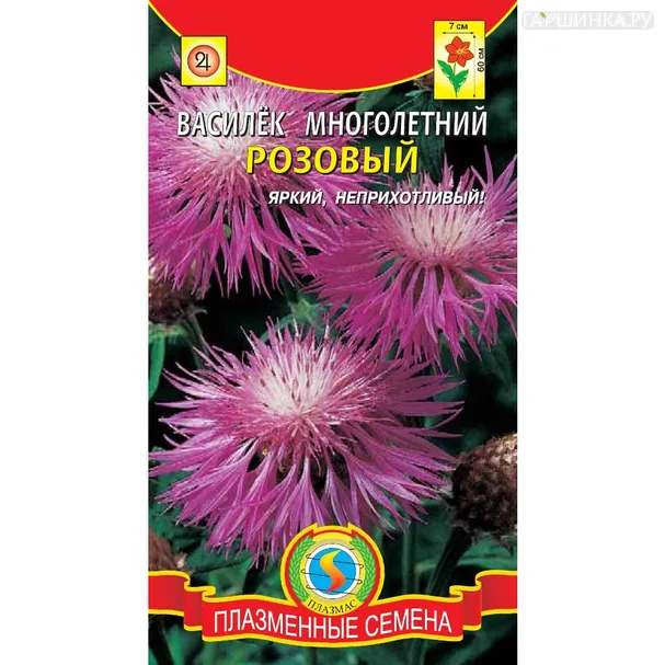 Василек Розовый многолетний 10 шт, Плазменные семена