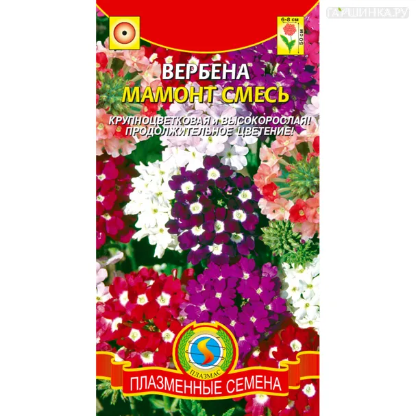 Вербена Мамонт смесь 0,1 г, Пазменные семена