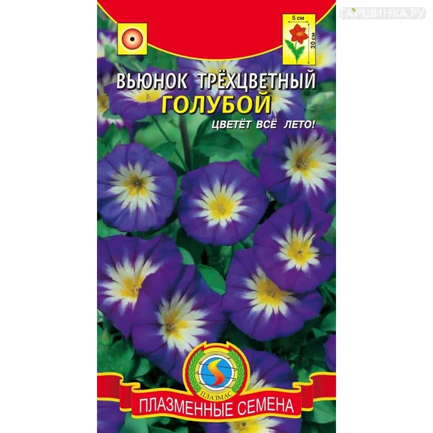 Вьюнок Трехцветный Голубой 0,5 г, Плазменные семена