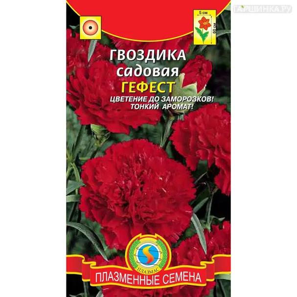 Гвоздика Гефест садовая 0,1 г, Плазменные семена