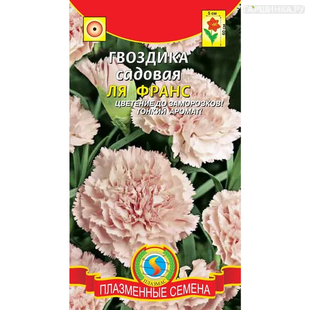 Гвоздика садовая Ля Франс 0,1 г, Плазменные семена