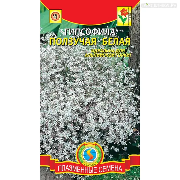 Гипсофила Белая ползучая 0,05 г, Плазменные семена