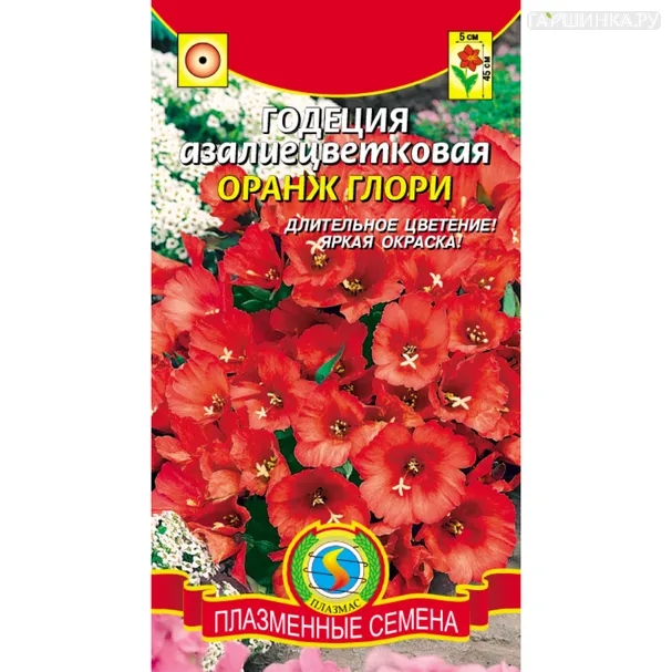 Годеция Оранж Глори азалиецветковая 0,2 г, Плазменные семена