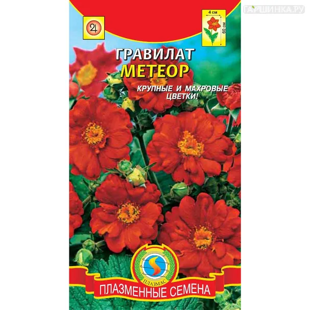 Гравилат Метеор 0,1 г, Плазменные семена