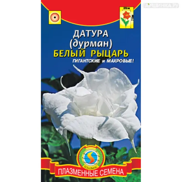 Датура (Дурман) Белый рыцарь 3 шт, Плазменные семена