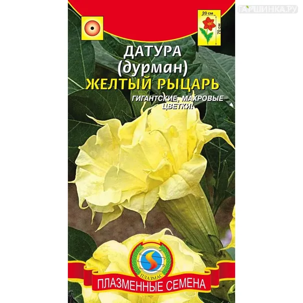 Датура (Дурман) Желтый рыцарь 3 шт, Плазменные семена