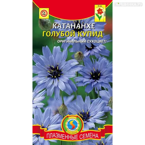 Катананхе Голубой Купид 10 шт, Плазменные семена