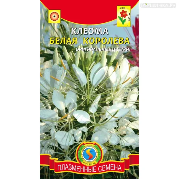 Клеома Белая Королева 0,2г, Плазменные семена