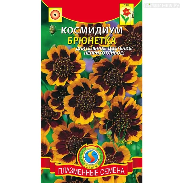 Космидиум Брюнетка 30 шт, Плазменные семена