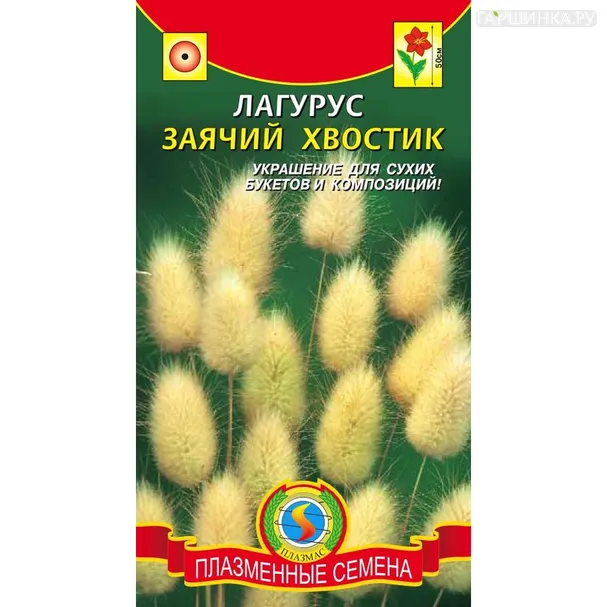 Лагурус (заячий хвостик) 0,1 г, Плазменные семена