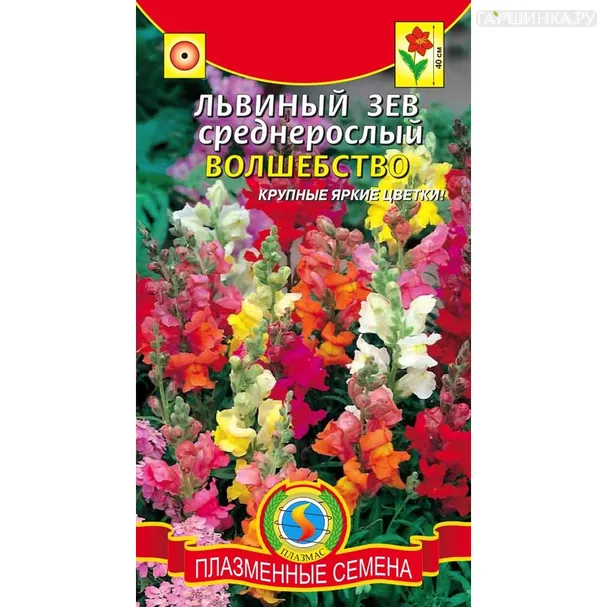 Львиный зев Волшебство 0,1 г, Плазменные семена