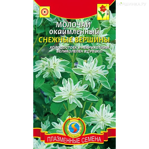 Молочай Снежные вершины окаймленный 0,3 г, Плазменные семена