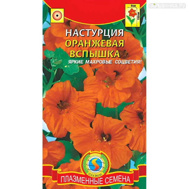 Настурция Оранжевая Вспышка 9 шт, Плазменные семена