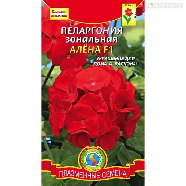 Пеларгония Алена F1 зональная 3 шт, Плазменные семена
