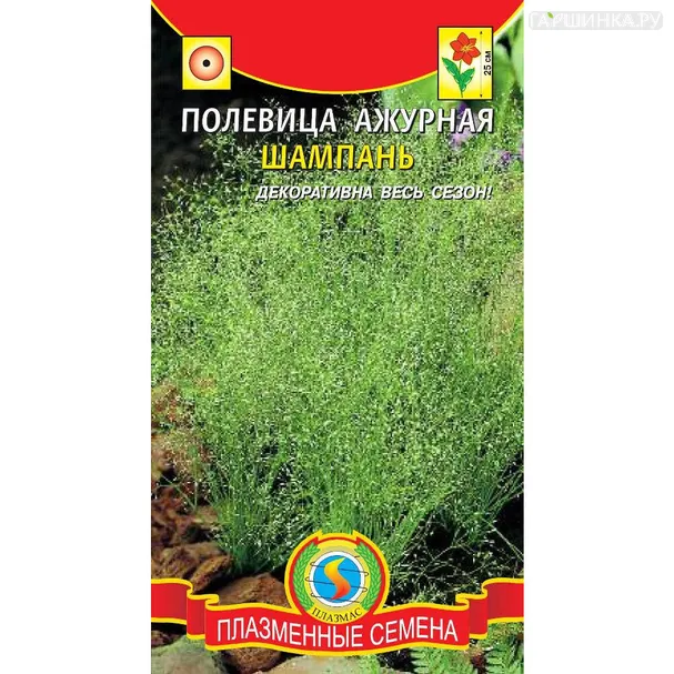 Полевица Шампань ажурная 100 шт, Плазменные семена