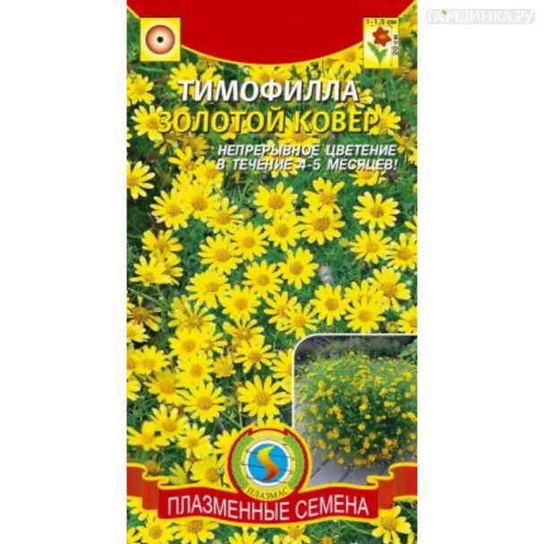 Тимофилла Золотой ковер 0,02 г, Плазменные семена