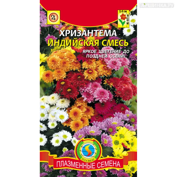 Хризантема Смесь индийская 20 шт, Плазменные семена