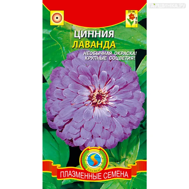 Цинния Лаванда 0,3 г, Плазменные семена