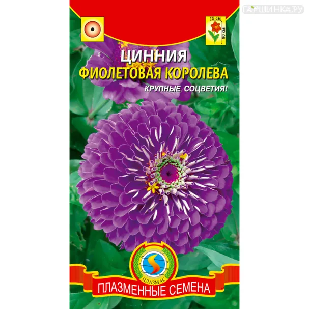 Цинния Фиолетовая королева 0,3 г, Плазменные семена