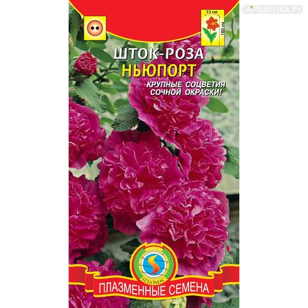 Шток роза Ньюпорт 0,1 г, Плазменные семена