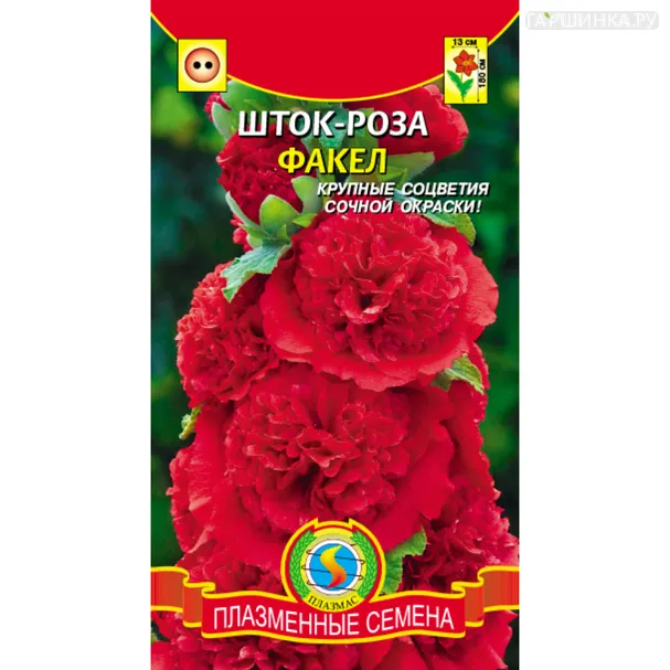 Шток роза Факел 0,1 г, Плазменные семена