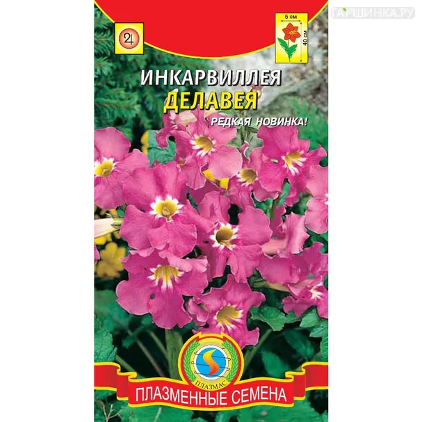 Инкарвиллея Делавея 7 шт, Плазменные семена