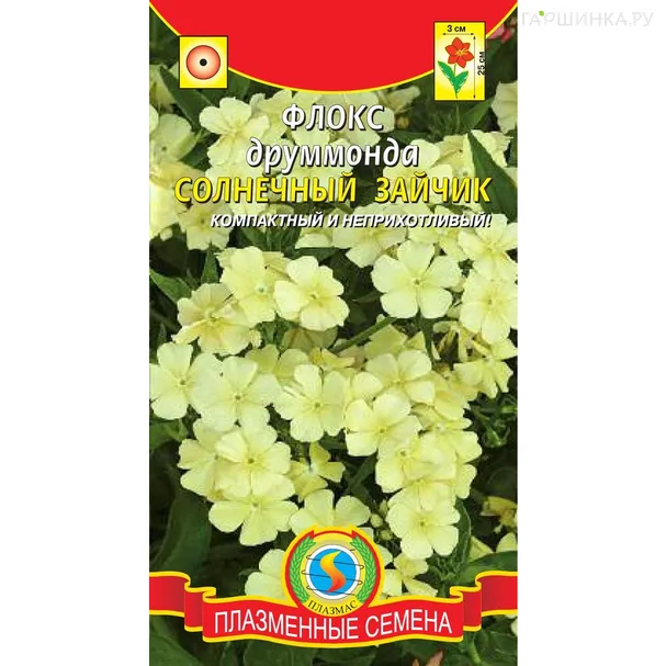 Флокс Друммонда Солнечный зайчик 0,1 г, Плазменные семена