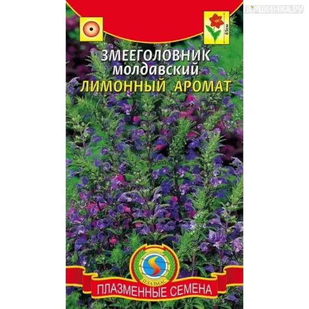 Змееголовник Лимонный аромат молдавский 0,3 г, Плазменные семена