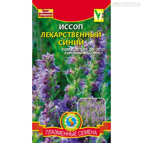 Иссоп Синий лекарственный 0,2 г, Плазменные семена