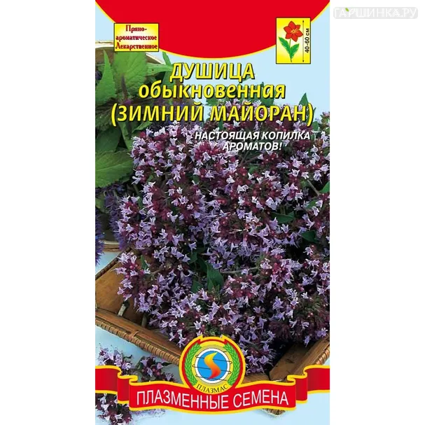 Душица (орегано) обыкновенная 0,1 г, Плазменные семена