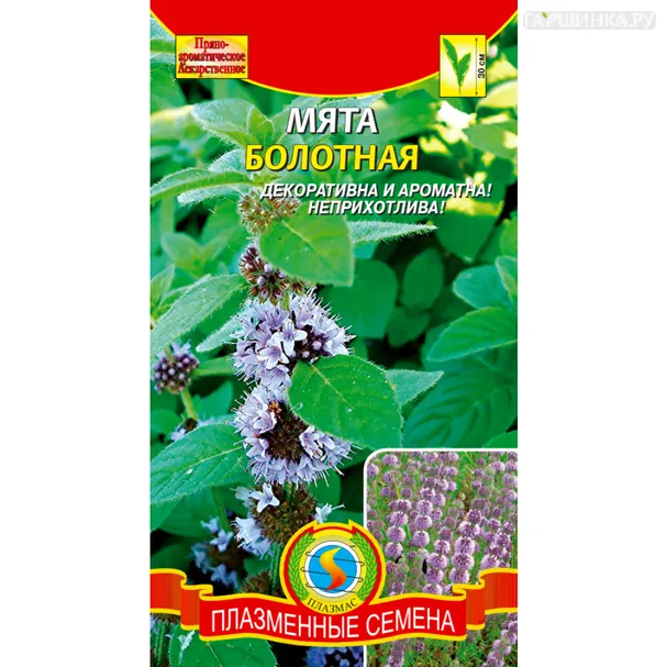 Мята болотная 0,03 г, Плазменные семена