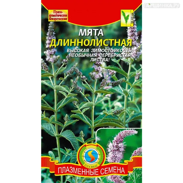 Мята Длиннолистная 0,03 г, Плазменные семена