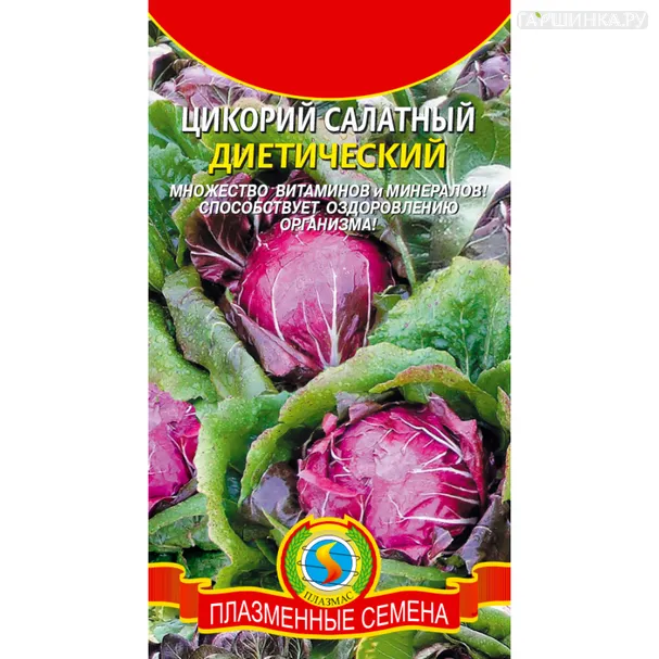 Цикорий Диетический салатный 1 г, Плазменные семена
