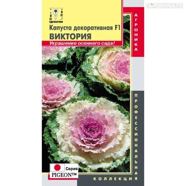 Декоративная капуста Виктория F1 (cерия Pigeon) 5 шт, Плазменные Семена