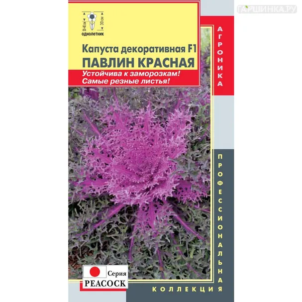 Декоративная капуста Павлин Красная F1 (серия Peacock) 5 шт, Плазменные семена