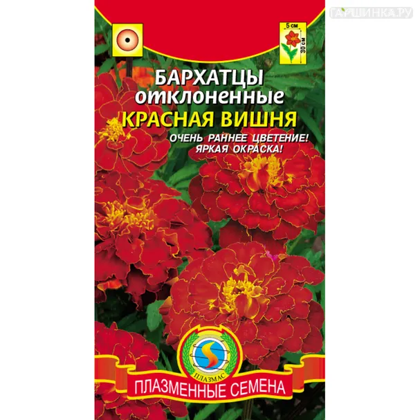 Бархатцы Красная вишня 45 шт, Плазменные семена